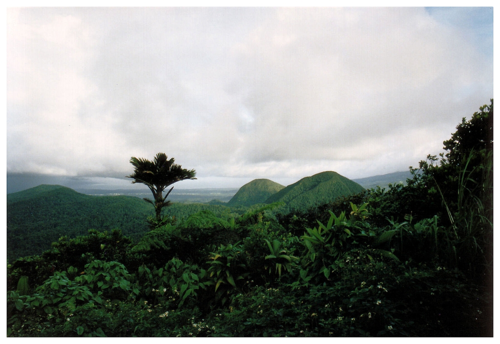 06 - Jardin De Balata (1).jpg